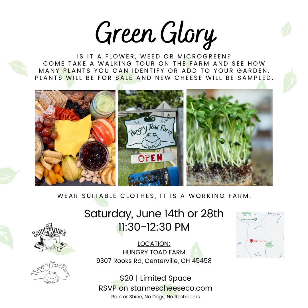 Green Glory Adventure